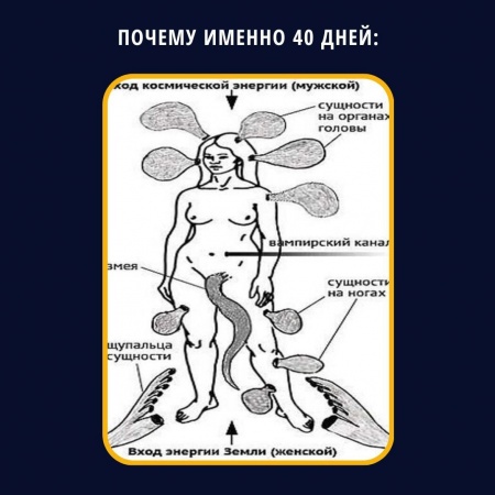Почему именно 40 дней