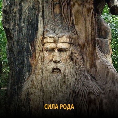Сила Рода